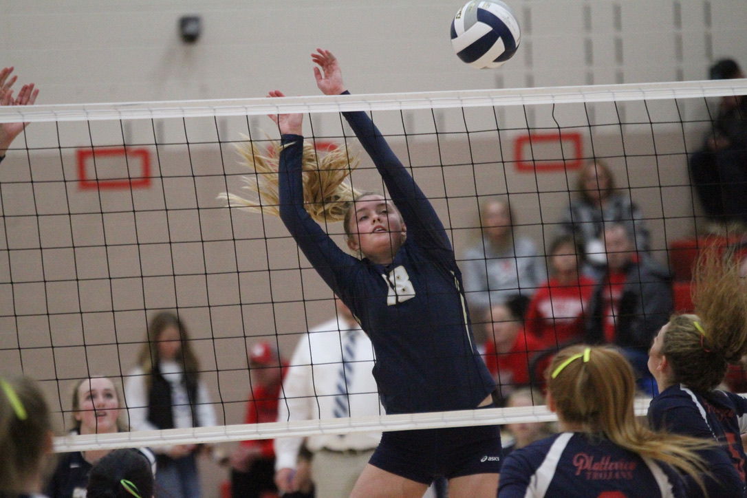 York vs. Platteview volleyball 5.jpeg
